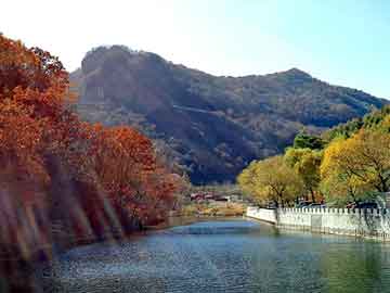 管家婆免费正版资起大全，重油流量计